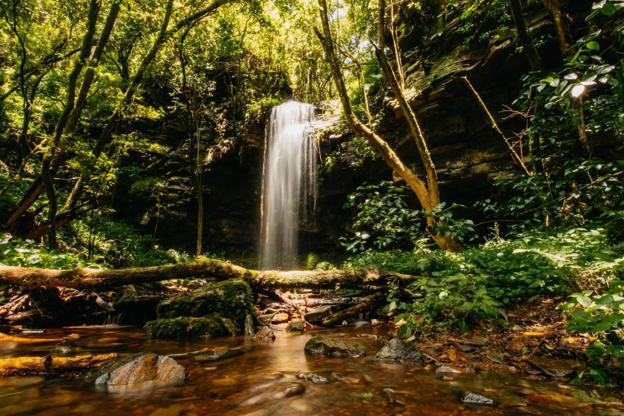 Mount Sheba Rainforest Hotel & Resort Pilgrimʼs Rest Eksteriør bilde
